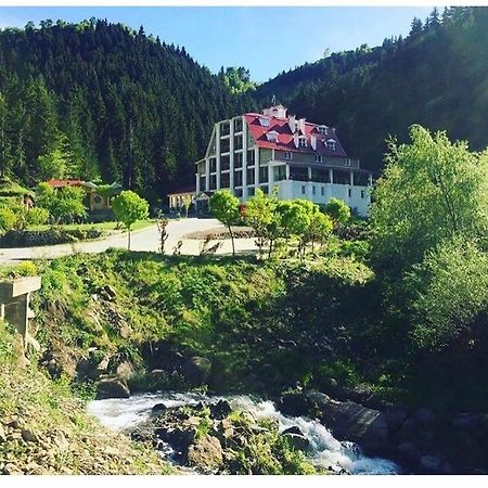 Hotel Green Valley Savsat Bagian luar foto