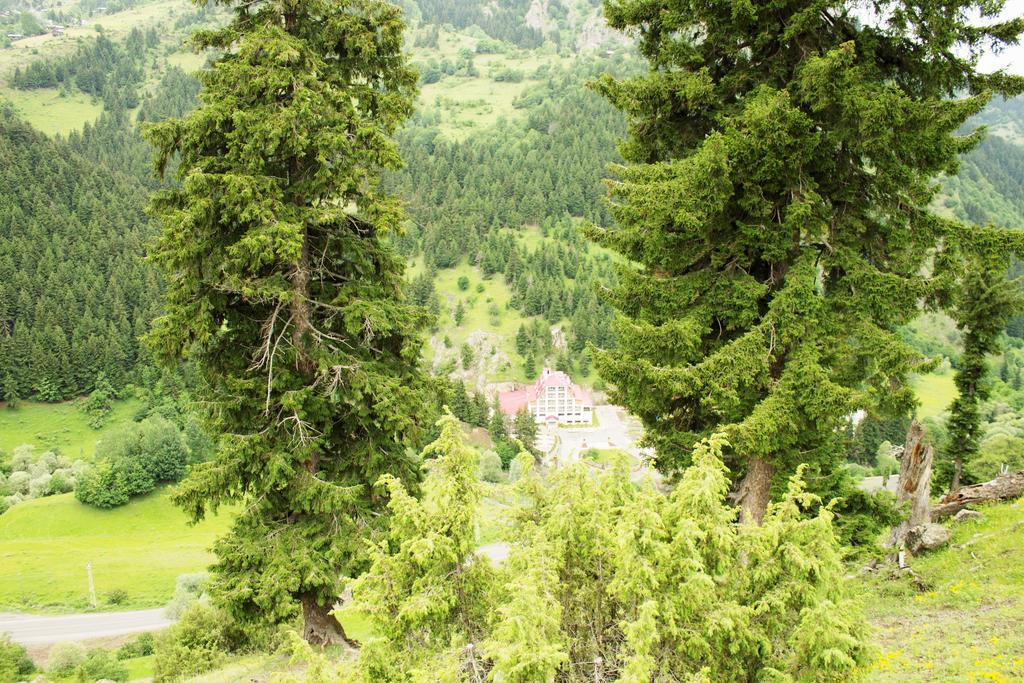 Hotel Green Valley Savsat Bagian luar foto