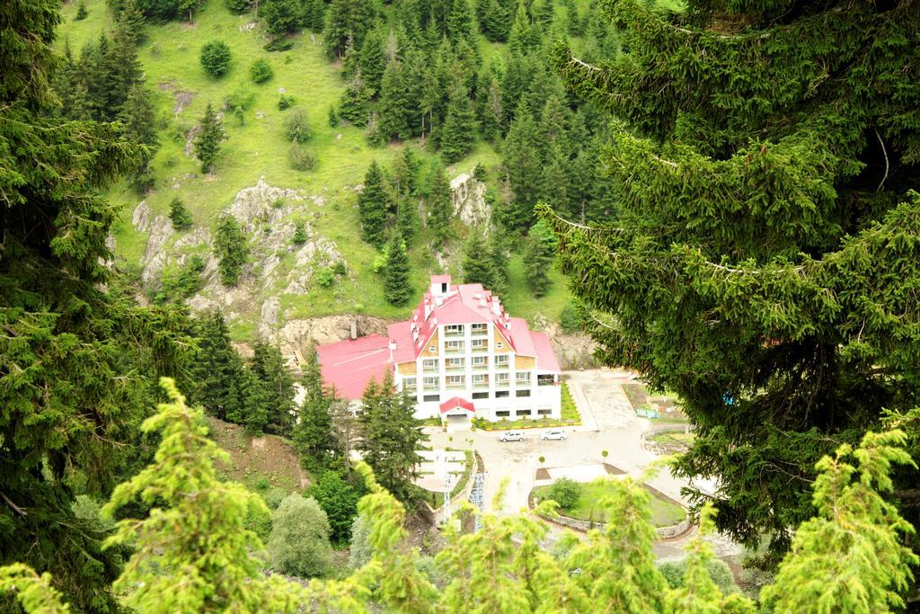 Hotel Green Valley Savsat Bagian luar foto