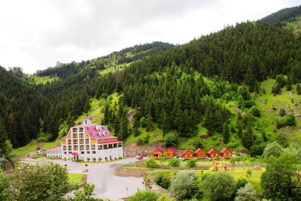 Hotel Green Valley Savsat Bagian luar foto