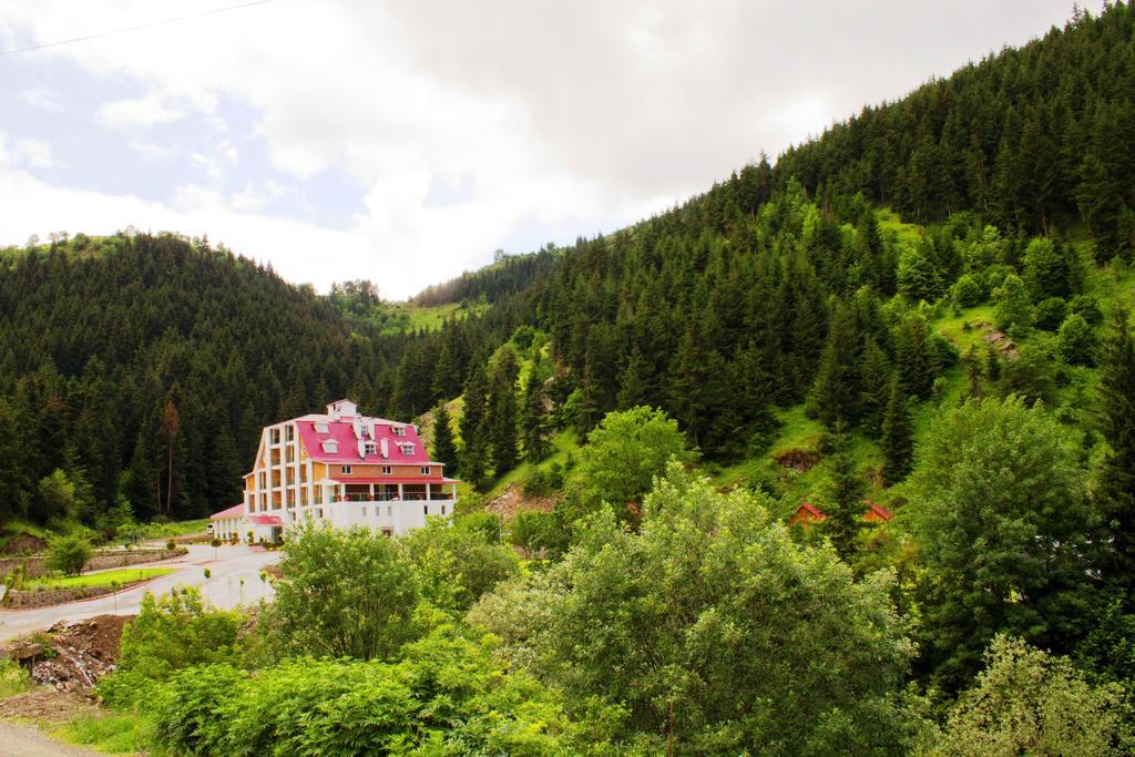 Hotel Green Valley Savsat Bagian luar foto