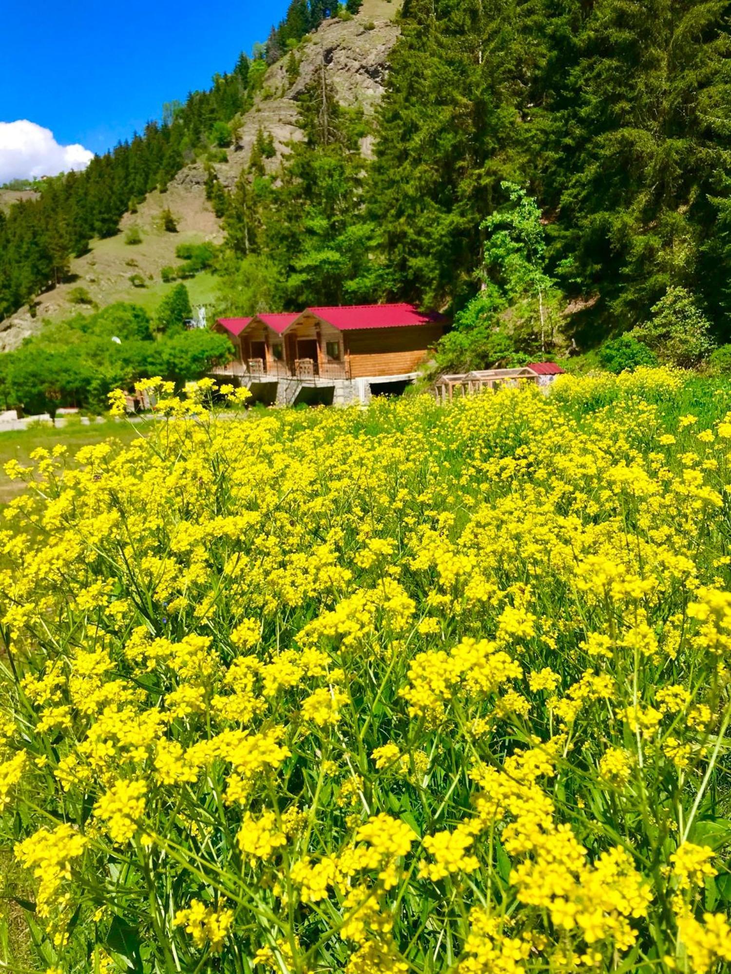 Hotel Green Valley Savsat Bagian luar foto